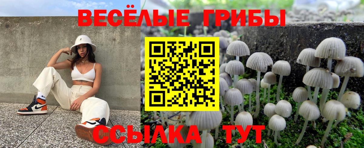 Псилоцибиновые грибы Psilocybine cubensis Югорск
