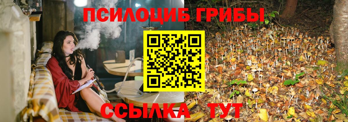 Галлюциногенные грибы Psilocybe  Псилоцибиновые грибы прущие грибы  Югорск  Вход с VPN 