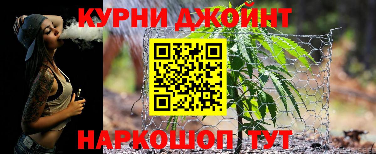 МАРИХУАНА сатива Югорск